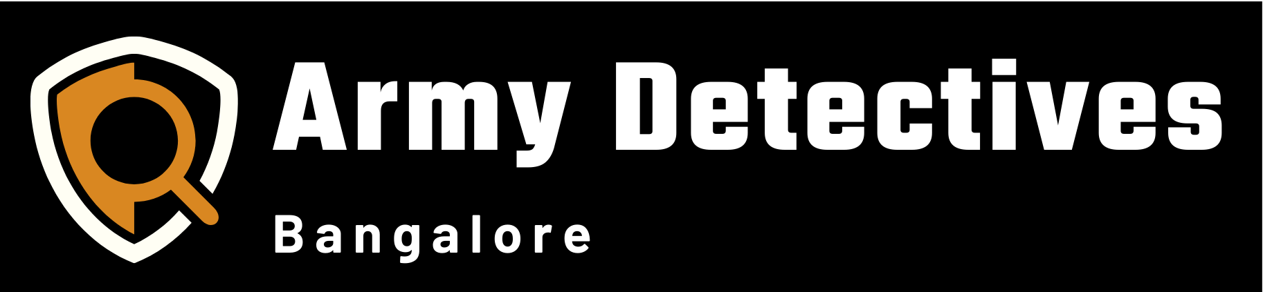 Army Detective
